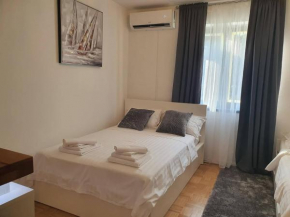 Studio Apartment Biricchina